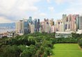 The Park Lane Hong Kong, a Pullman Hotel в Гонконг Гонконг ✅. Забронировать номер онлайн по выгодной цене в The Park Lane Hong Kong, a Pullman Hotel. Трансфер из аэропорта.