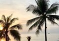 Sea Shells Hotel & Spa Phu Quoc в Фукуок Вьетнам ✅. Забронировать номер онлайн по выгодной цене в Sea Shells Hotel & Spa Phu Quoc. Трансфер из аэропорта.