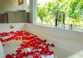 The Shells Resort & Spa в Фукуок Вьетнам ✅. Забронировать номер онлайн по выгодной цене в The Shells Resort & Spa. Трансфер из аэропорта.