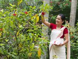 The Travancore Heritage в Керала Индия  ✅. Забронировать номер онлайн по выгодной цене в The Travancore Heritage. Трансфер из аэропорта.