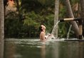 The Ubud Village Resort & Spa в регион Убуд Индонезия ✅. Забронировать номер онлайн по выгодной цене в The Ubud Village Resort & Spa. Трансфер из аэропорта.
