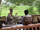 The Ubud Village Resort & Spa в регион Убуд Индонезия ✅. Забронировать номер онлайн по выгодной цене в The Ubud Village Resort & Spa. Трансфер из аэропорта.