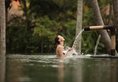 The Ubud Village Resort & Spa в регион Убуд Индонезия ✅. Забронировать номер онлайн по выгодной цене в The Ubud Village Resort & Spa. Трансфер из аэропорта.