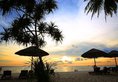 Tropicana Phu Quoc в Фантьет Вьетнам ✅. Забронировать номер онлайн по выгодной цене в Tropicana Phu Quoc. Трансфер из аэропорта.