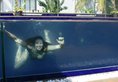 Unawatuna beach resort в Унаватуна Шри-Ланка ✅. Забронировать номер онлайн по выгодной цене в Unawatuna beach resort. Трансфер из аэропорта.