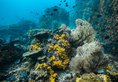 Victoria Cliff Nyaung Oo Phee Resort в остров Ньяунг У Пе Мьянма ✅. Забронировать номер онлайн по выгодной цене в Victoria Cliff Nyaung Oo Phee Resort. Трансфер из аэропорта.