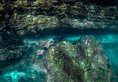 Victoria Cliff Nyaung Oo Phee Resort в остров Ньяунг У Пе Мьянма ✅. Забронировать номер онлайн по выгодной цене в Victoria Cliff Nyaung Oo Phee Resort. Трансфер из аэропорта.