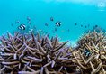 Victoria Cliff Nyaung Oo Phee Resort в остров Ньяунг У Пе Мьянма ✅. Забронировать номер онлайн по выгодной цене в Victoria Cliff Nyaung Oo Phee Resort. Трансфер из аэропорта.