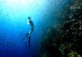 Victoria Cliff Nyaung Oo Phee Resort в остров Ньяунг У Пе Мьянма ✅. Забронировать номер онлайн по выгодной цене в Victoria Cliff Nyaung Oo Phee Resort. Трансфер из аэропорта.