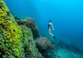 Victoria Cliff Nyaung Oo Phee Resort в остров Ньяунг У Пе Мьянма ✅. Забронировать номер онлайн по выгодной цене в Victoria Cliff Nyaung Oo Phee Resort. Трансфер из аэропорта.