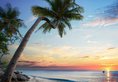 VinOasis Phu Quoc в Фукуок Вьетнам ✅. Забронировать номер онлайн по выгодной цене в VinOasis Phu Quoc. Трансфер из аэропорта.