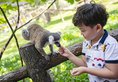Vinpearl discovery 1 phu quoc в Фукуок Вьетнам ✅. Забронировать номер онлайн по выгодной цене в Vinpearl discovery 1 phu quoc. Трансфер из аэропорта.