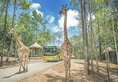 Vinpearl Resort & Golf Phu Quoc в Фукуок Вьетнам ✅. Забронировать номер онлайн по выгодной цене в Vinpearl Resort & Golf Phu Quoc. Трансфер из аэропорта.