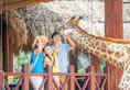 Vinpearl Discovery Greenhill Phu Quoc в Фукуок Вьетнам ✅. Забронировать номер онлайн по выгодной цене в Vinpearl Discovery Greenhill Phu Quoc. Трансфер из аэропорта.