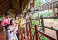Vinpearl Discovery Greenhill Phu Quoc в Фукуок Вьетнам ✅. Забронировать номер онлайн по выгодной цене в Vinpearl Discovery Greenhill Phu Quoc. Трансфер из аэропорта.
