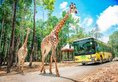 Vinpearl Discovery Greenhill Phu Quoc в Фукуок Вьетнам ✅. Забронировать номер онлайн по выгодной цене в Vinpearl Discovery Greenhill Phu Quoc. Трансфер из аэропорта.
