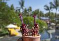 W Bali - Seminyak в Бали Индонезия ✅. Забронировать номер онлайн по выгодной цене в W Bali - Seminyak. Трансфер из аэропорта.