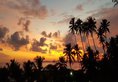 Weligama Bay Marriott Resort & Spa в Велигама Шри-Ланка ✅. Забронировать номер онлайн по выгодной цене в Weligama Bay Marriott Resort & Spa. Трансфер из аэропорта.