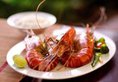 Weligama Bay Resort - Level 1 Certified в Велигама Шри-Ланка ✅. Забронировать номер онлайн по выгодной цене в Weligama Bay Resort - Level 1 Certified. Трансфер из аэропорта.