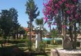 Miramar Golf & Spa в Сусс Тунис ✅. Забронировать номер онлайн по выгодной цене в Miramar Golf & Spa. Трансфер из аэропорта.