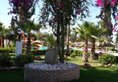 Miramar Golf & Spa в Сусс Тунис ✅. Забронировать номер онлайн по выгодной цене в Miramar Golf & Spa. Трансфер из аэропорта.