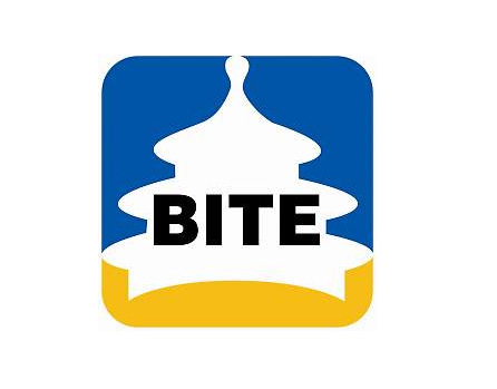 Приглашаем на BITE`2013 
