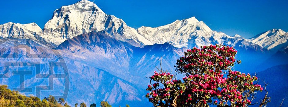 Тур в Непал «Загадочный Катманду и Гималаи»