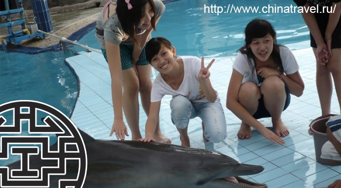 Новый Дельфинарий  на Бали