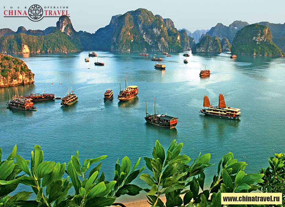 Российские туристы вошли в список приоритетных, для  въездного туризма Вьетнама