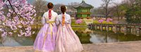 Тур на Цветение сакуры в Корее