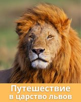 ЮАР: "Путешествие в царство львов". Набираем группу с вылетом 08.04