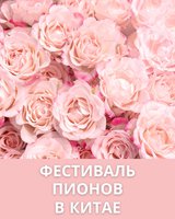 Тур на Фестиваль Пионов в Китае - единственный заезд в апреле