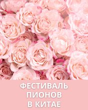 Тур на Фестиваль Пионов в Китае - единственный заезд в апреле