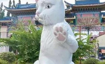 Памятник Кошке