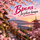 Тур: "Время розового ветра"
