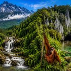 Тур: "Сердце Борнео"