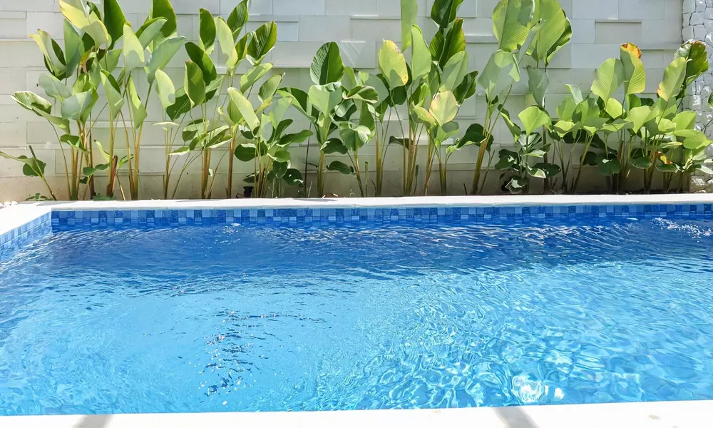 Serene Haven Villa with Pool Near Nusa Dua Beach, фото 5