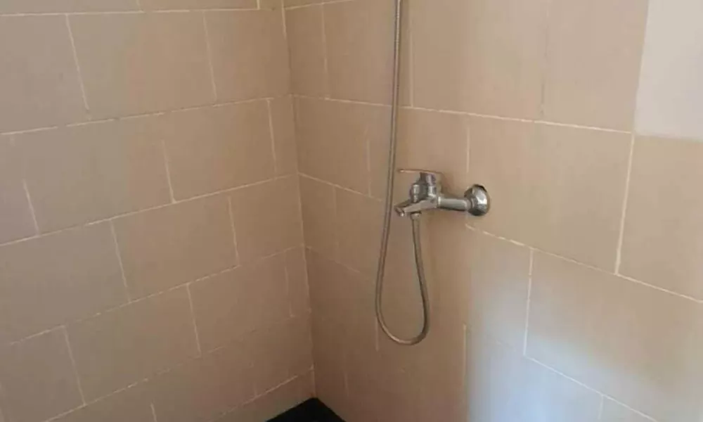 Alam Bali Homestay, фото 5