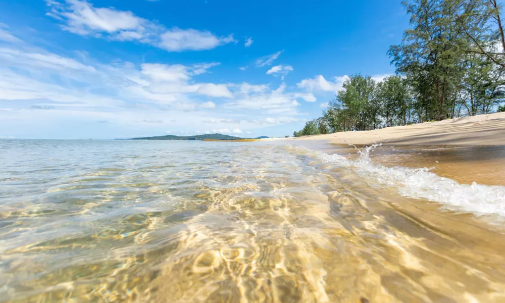 Coco Garden Resort Phu Quoc, фото 4