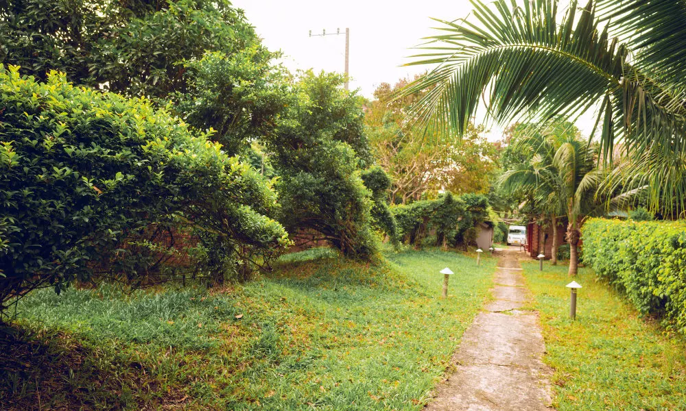 Minh Vuong Village Resort Phu Quoc, фото 4