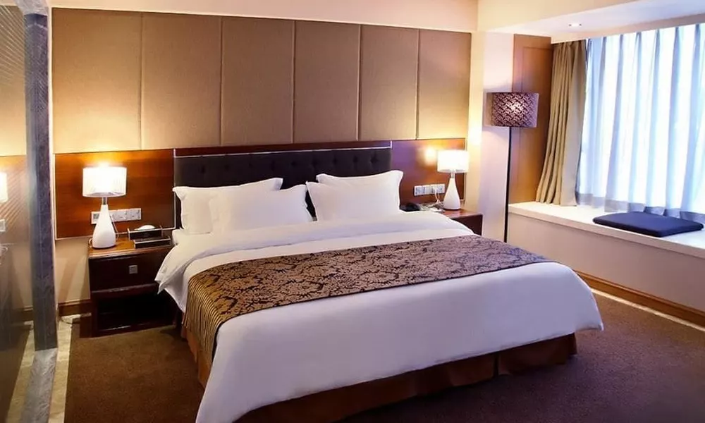 Shenzhen Starpark Hotel, фото 3