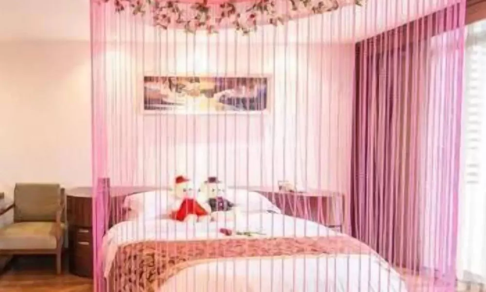 Daweiying Holiday Hotel, фото 5