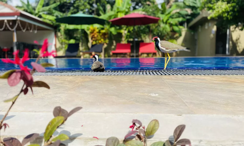 The Kingslayer Resort