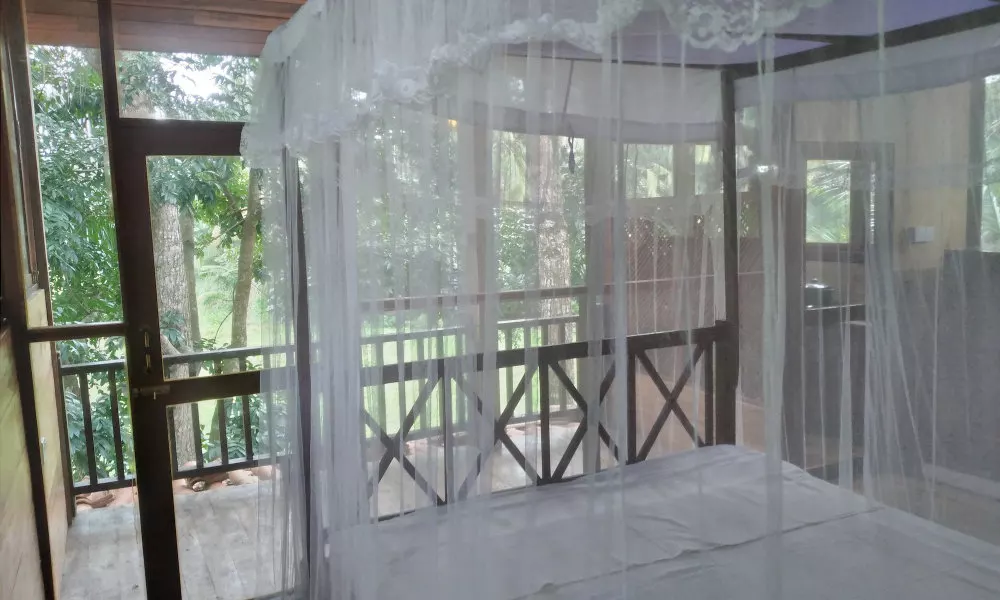 Green Herbal Ayurvedic Eco-Chalets, фото 4