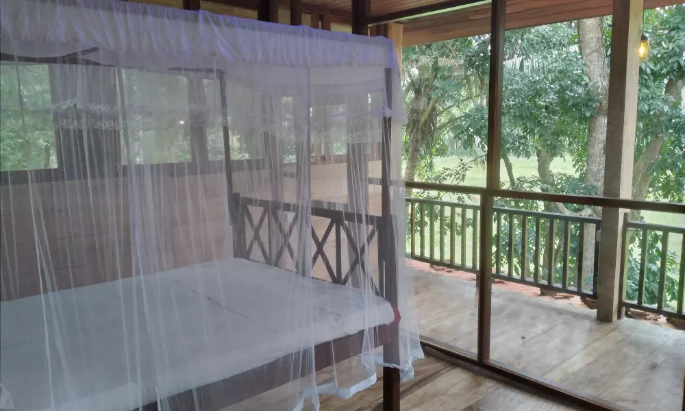 Green Herbal Ayurvedic Eco-Chalets