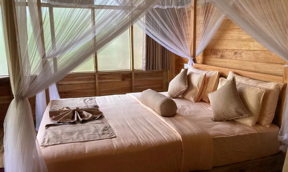 Ella Treehouse, фото 3