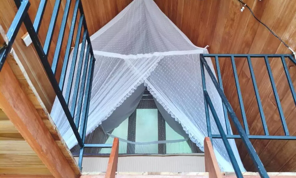 Ella Treehouse