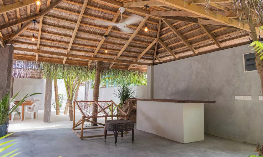 The Palm Ray Rasdhoo