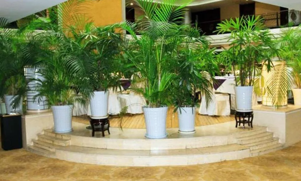 Xian Union Alliance Atravis Executive Hotel, фото 4
