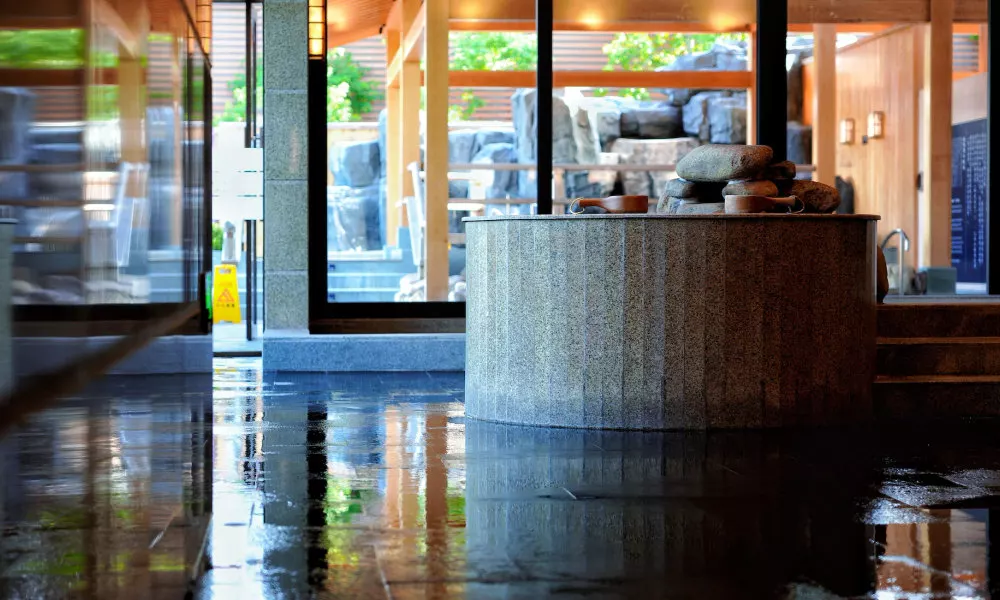 Hyakumangoku Onsen Hotel, фото 4